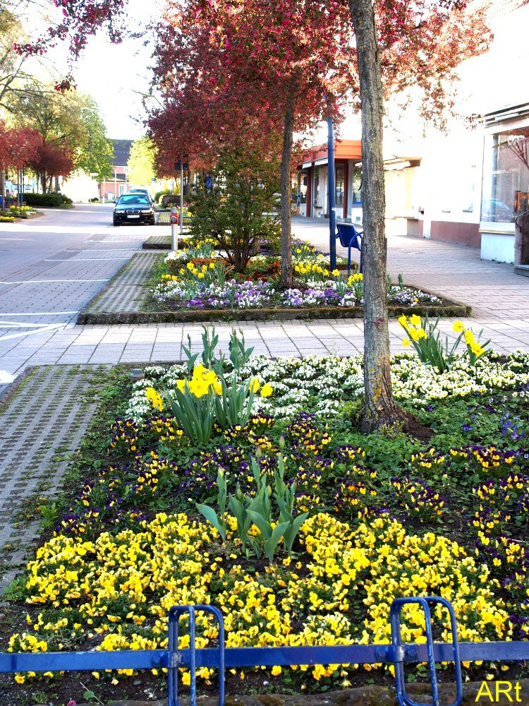 Eines von vielen Blumenbeeten in der Friedrichstraße