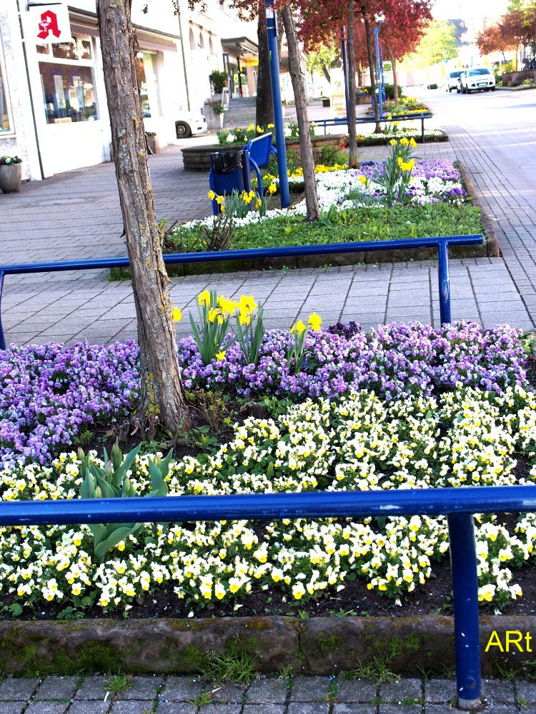 Eines von vielen Blumenbeeten in der Friedrichstraße