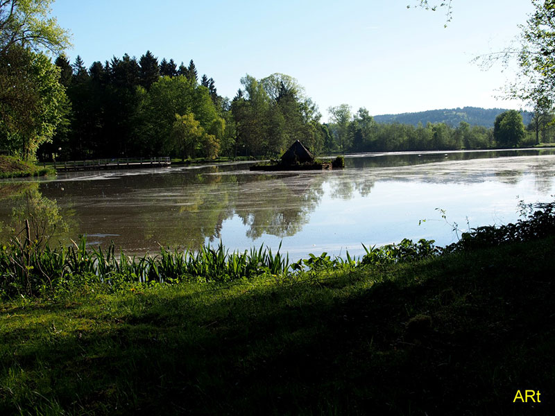 Großer Salinensee