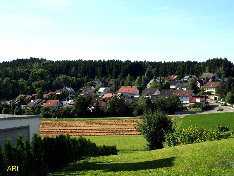 Blick von der Straße zum Waldcafé Richtung Sommerhalde