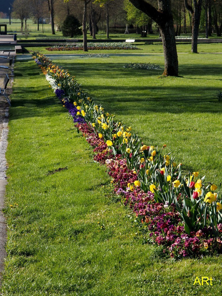 Eines von vielen Blumenbeeten im Kurpark