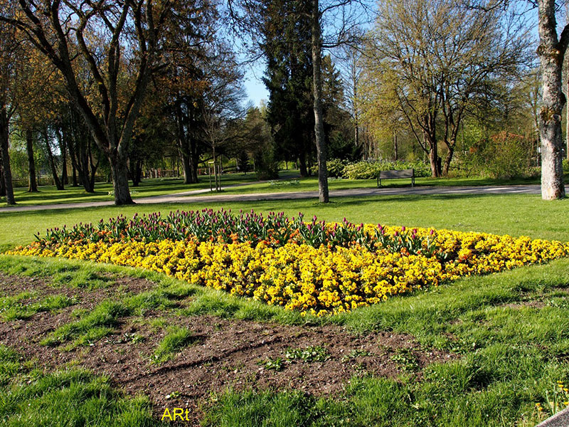 Eines von vielen Blumenbeeten