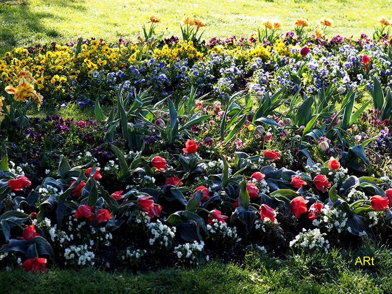 Eines von vielen Blumenbeeten