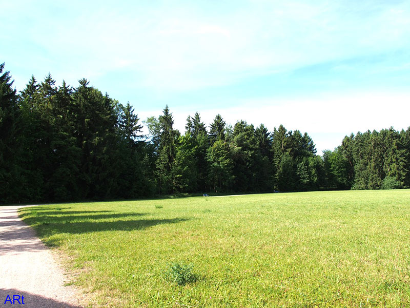 Auf dem Weg vom Salinensee zur Muselquelle