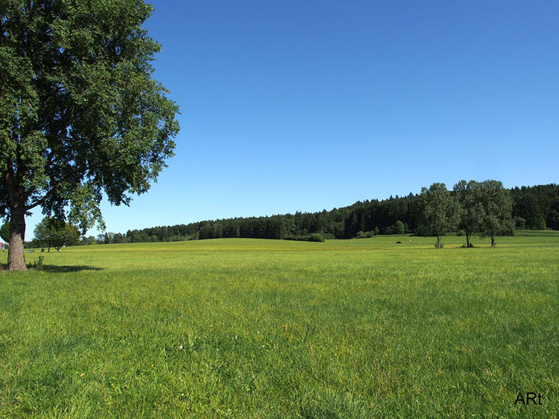 Auf dem Weg von der Willmannstraße nach Hochemmingen