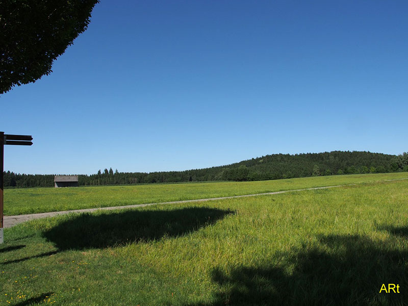 Auf dem Weg von der Willmannstraße nach Hochemmingen