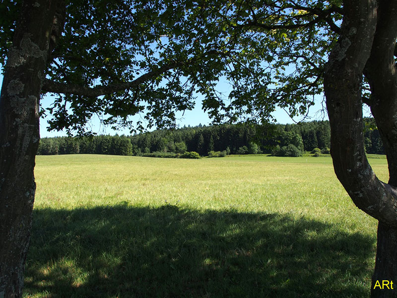 Auf dem Weg von der Willmannstraße nach Hochemmingen (Blickrichtung SW)