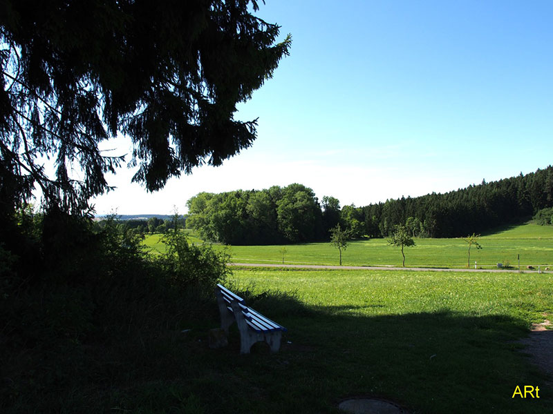 Auf dem Weg von der Willmannstraße nach Hochemmingen (Blickrichtung SW)