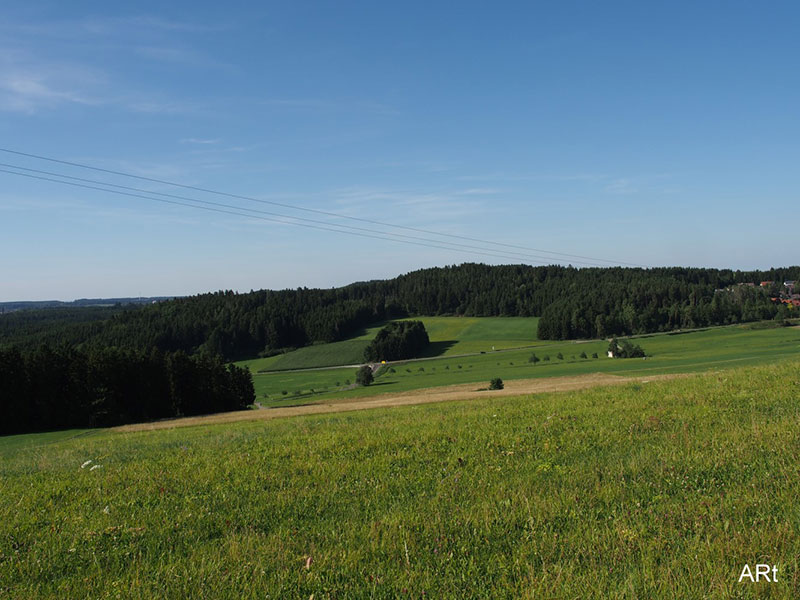 Auf dem Weg von der Willmannstraße nach Hochemmingen (Blickrichtung SW)