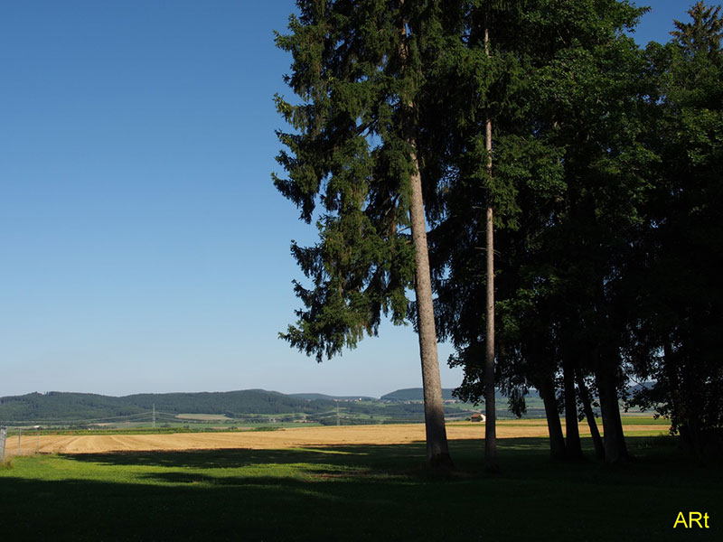 Fernblick vom Waldcafé auf dem Kapf Richtung Osten