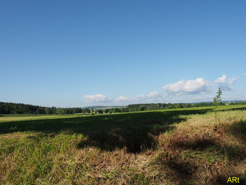 Blick von der oberen Luisenstraße Richtung Westen