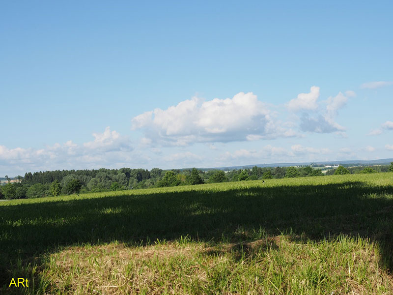 Blick von der oberen Luisenstraße Richtung Westen