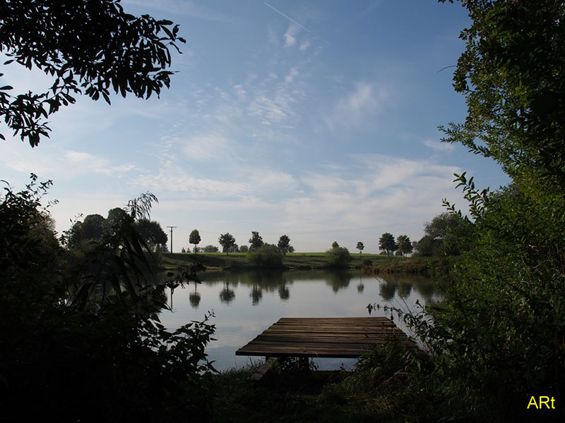 Steg an der Nordseite des Sunthauser Sees