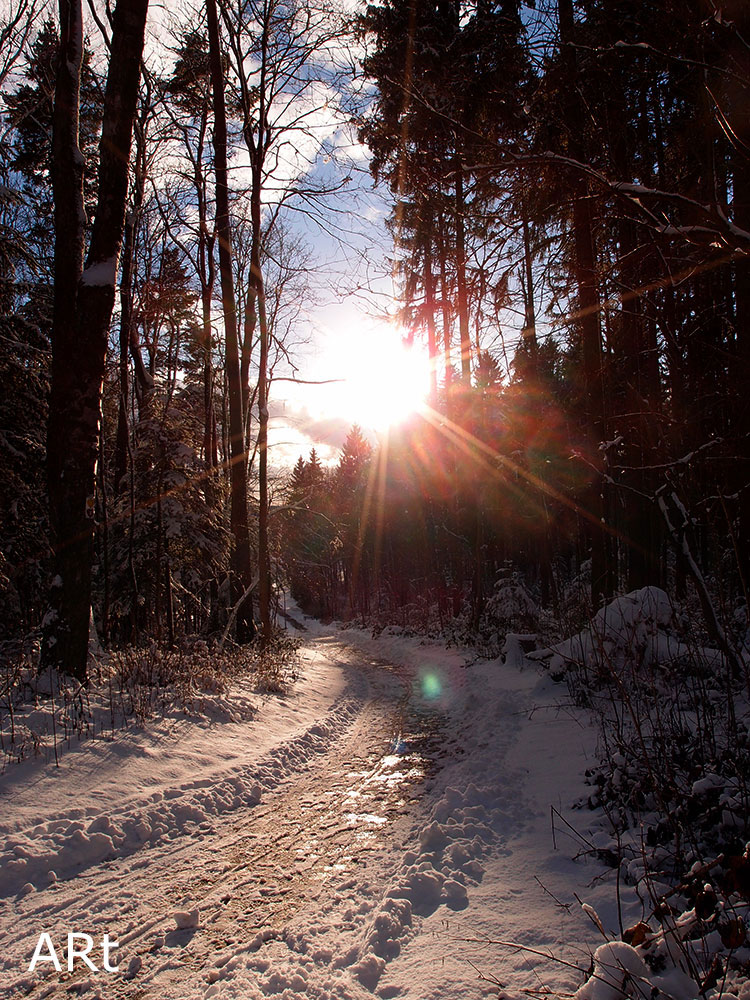 Waldweg an der Sonnenstraße