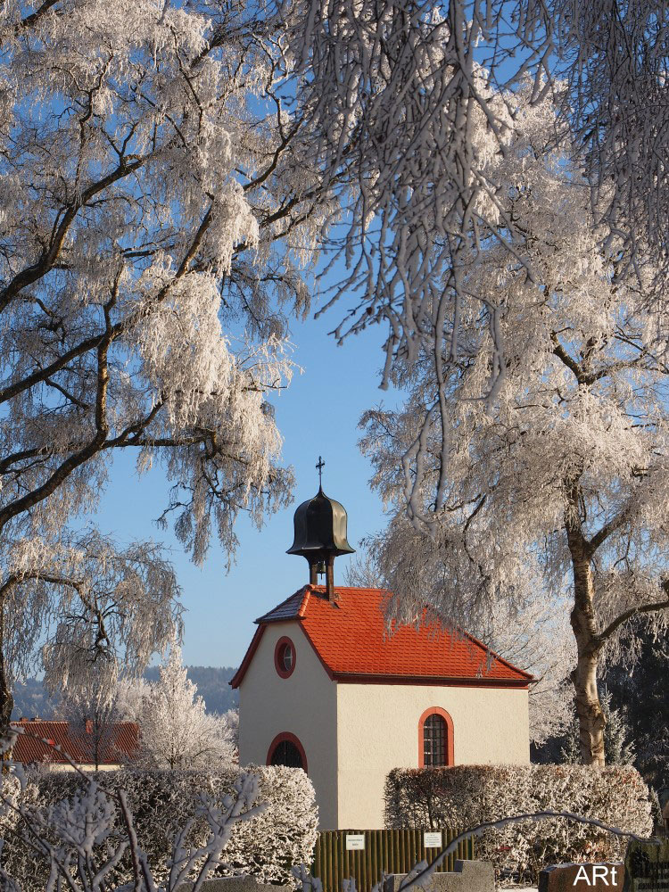 Friedhofskapelle, umrahmt von Birken mit Raureif