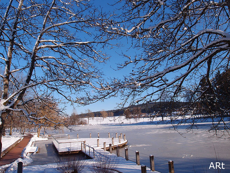 Schnee und Eis am Salinensee