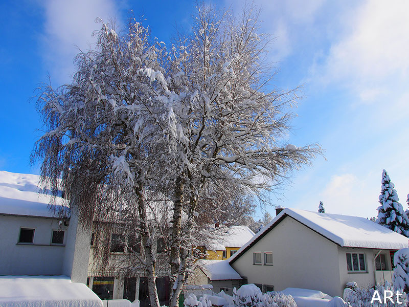 Schneebracht 2021 in der Silcherallee